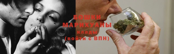 твердый Богданович