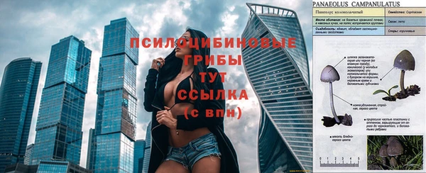 дурь Богородск