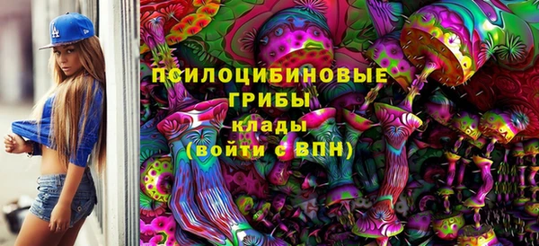 дурь Богородск