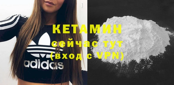 твердый Богданович